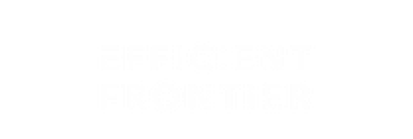Efficient Frontier