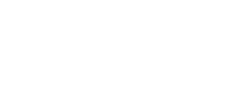 Mechanism Capital
